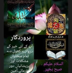 Meet your Posher, Sami